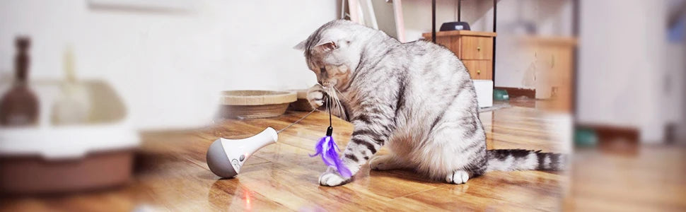 Interactive Feather Cat Toy - Automatic Teaser Wand for Indoor Play