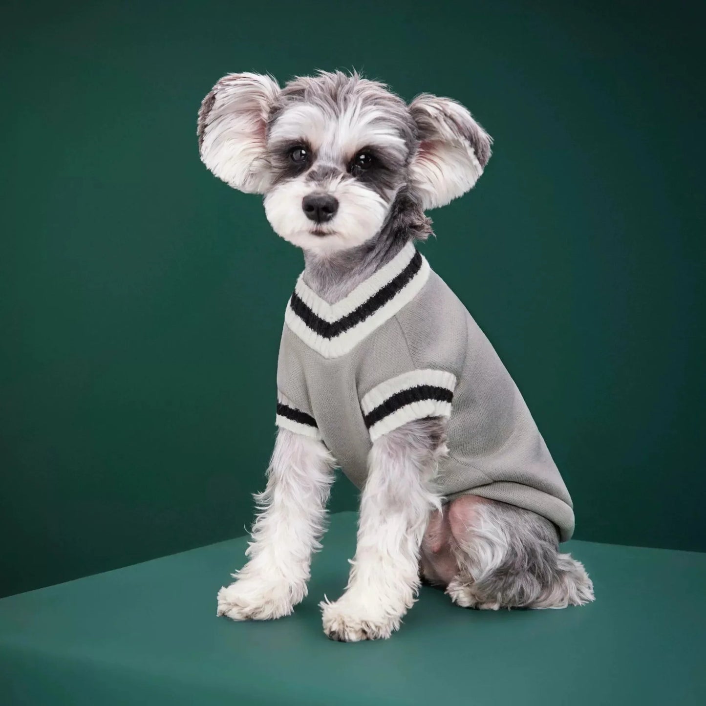 Pet Sweater - Warm Pullover Vest for Dogs and Cats