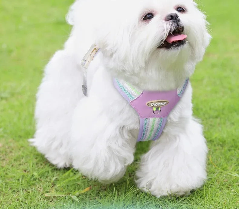Tactical Dog Harness with Chest Leash