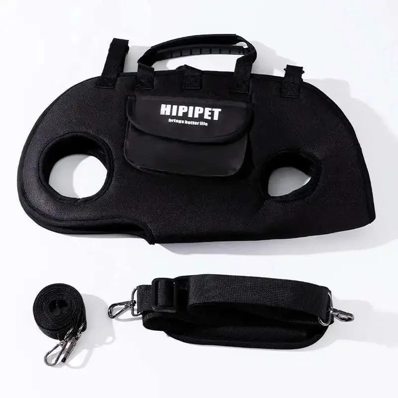 Sac de transport pour animaux de compagnie avec design de sac à dos