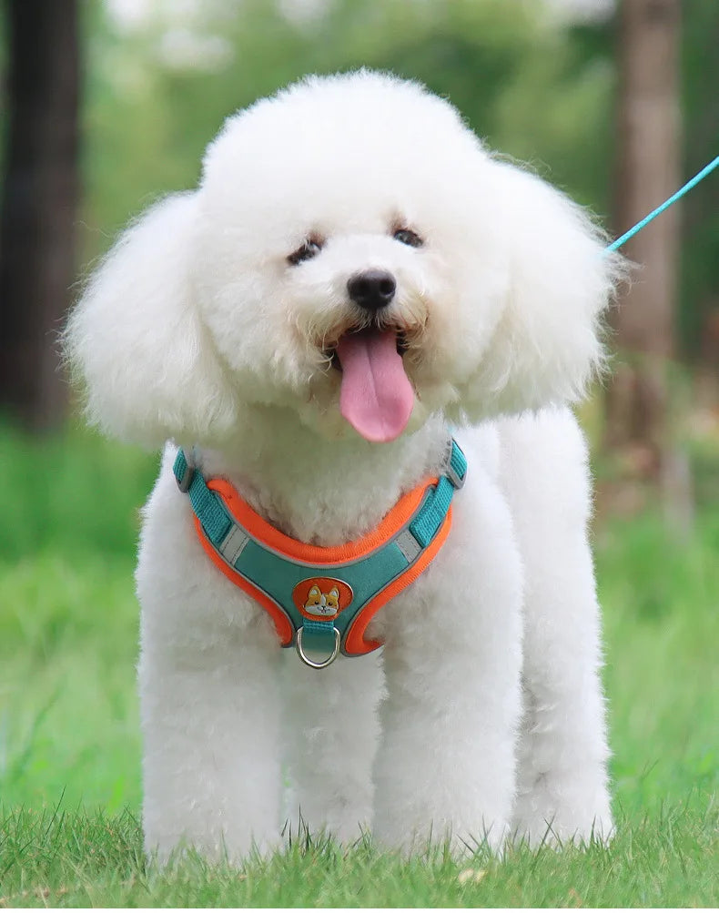 No-Pull Harness and Leash Set - Reflective Vest for Small Dogs