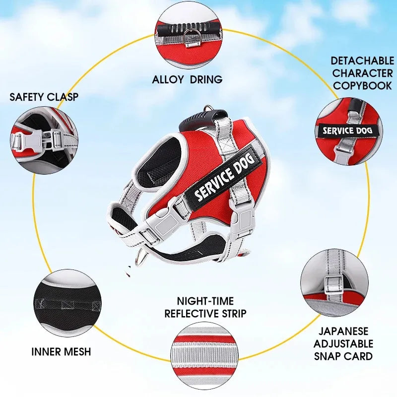 Puppy Harness with Leash - Small to Large Dog Training Set