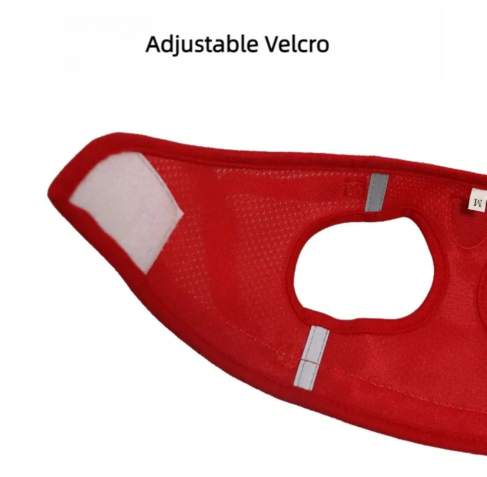 Cat Harness and Leash Set - Escape-Proof Reflective Mesh Vest