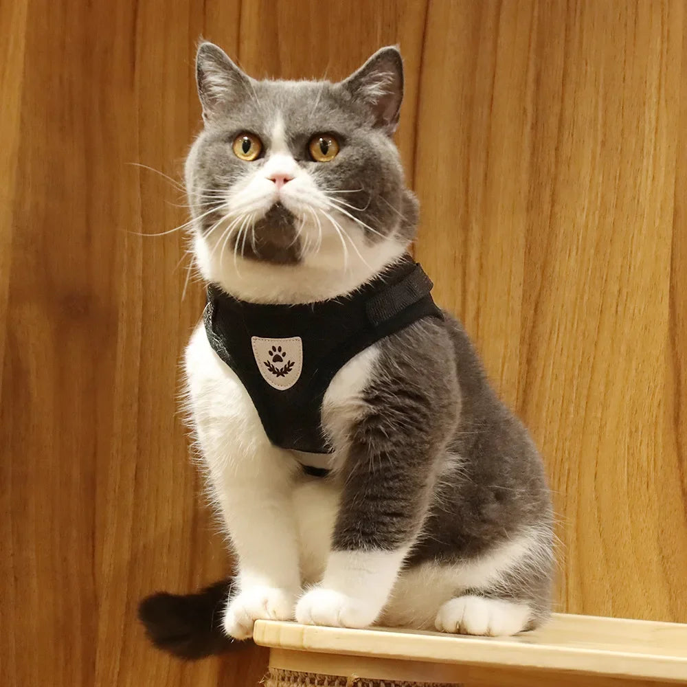 Cat Harness and Leash Set - Escape-Proof Reflective Mesh Vest