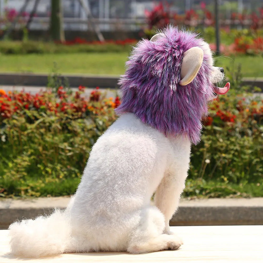 Lion Mane Wig for Cats & Small Dogs – Fancy Dress Costume