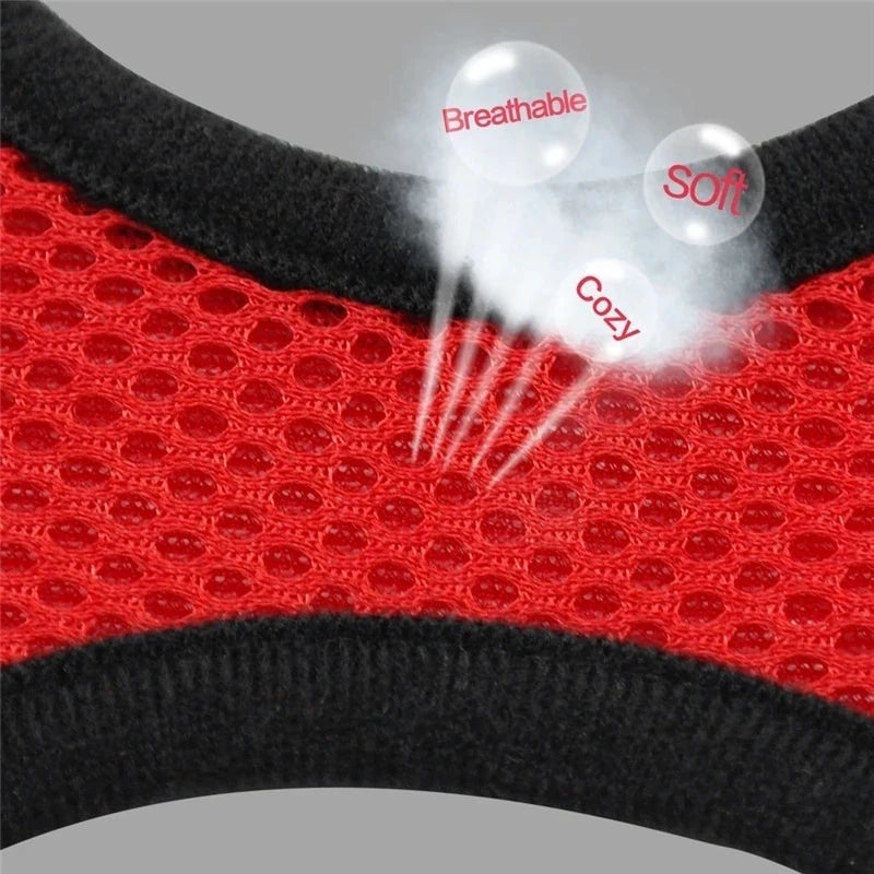 Adjustable Small Dog Harness and Leash Set - Breathable Vest