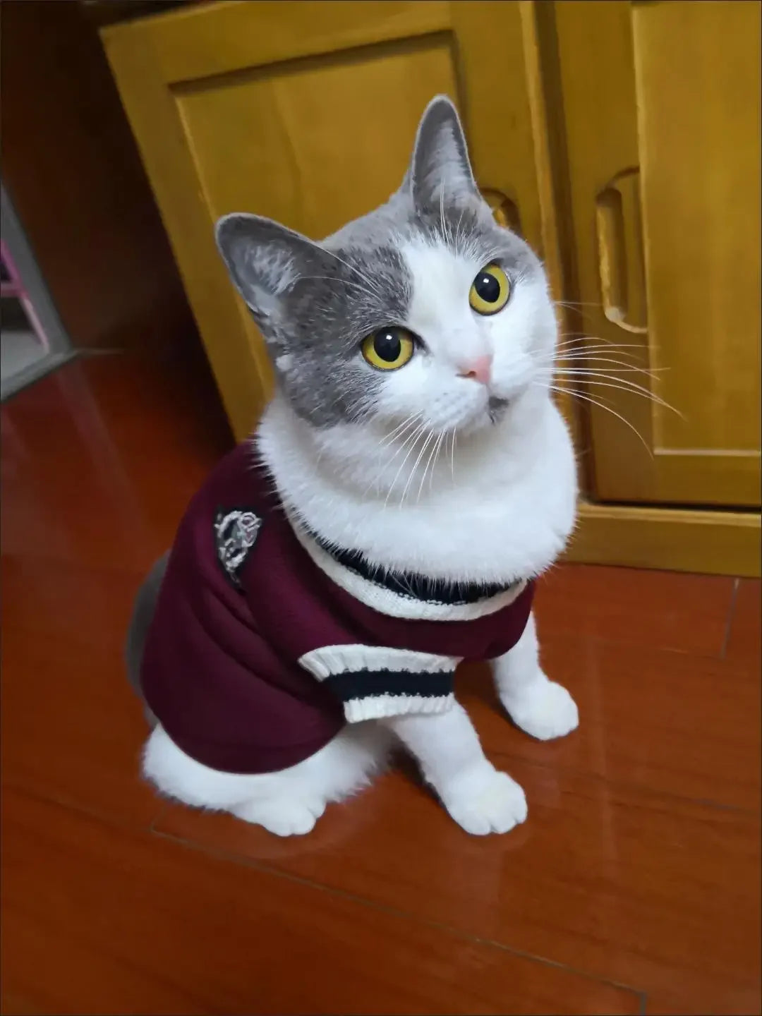 Pet Sweater - Warm Pullover Vest for Dogs and Cats
