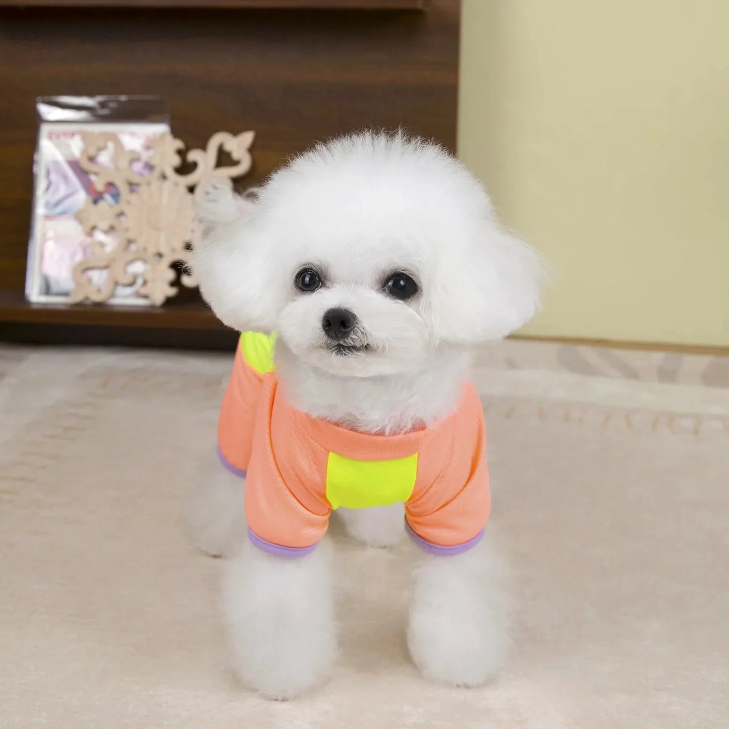 Summer Pet Shirt - Lightweight Dog Clothing for Spring & Summer