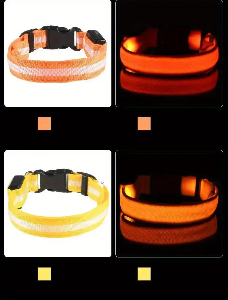 LED Dog Collar - Rechargeable Safety Light for Night Walking
