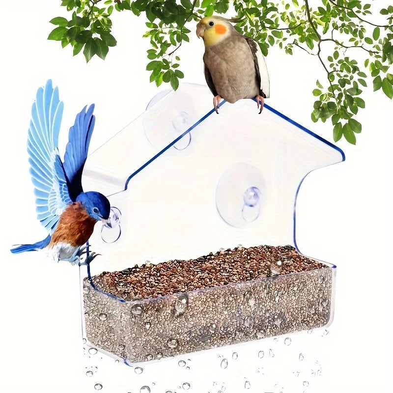 Window Bird Feeder - Transparent Acrylic Feeder with Strong Suction Cups