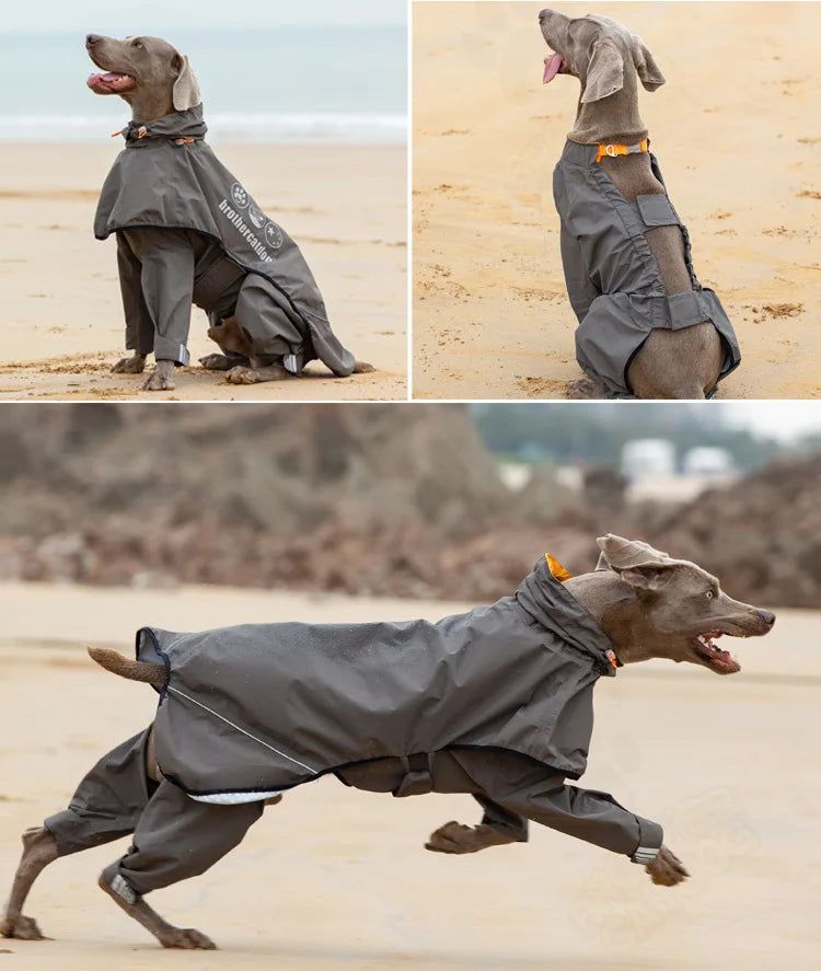 Waterproof Dog Raincoat Jumpsuit for Medium & Large Dogs