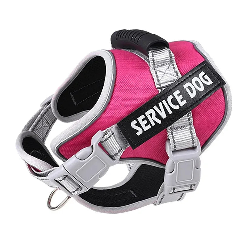 Puppy Harness with Leash - Small to Large Dog Training Set