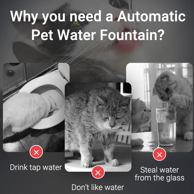 Transparent Smart Cat Water Fountain with Automatic Purifier System