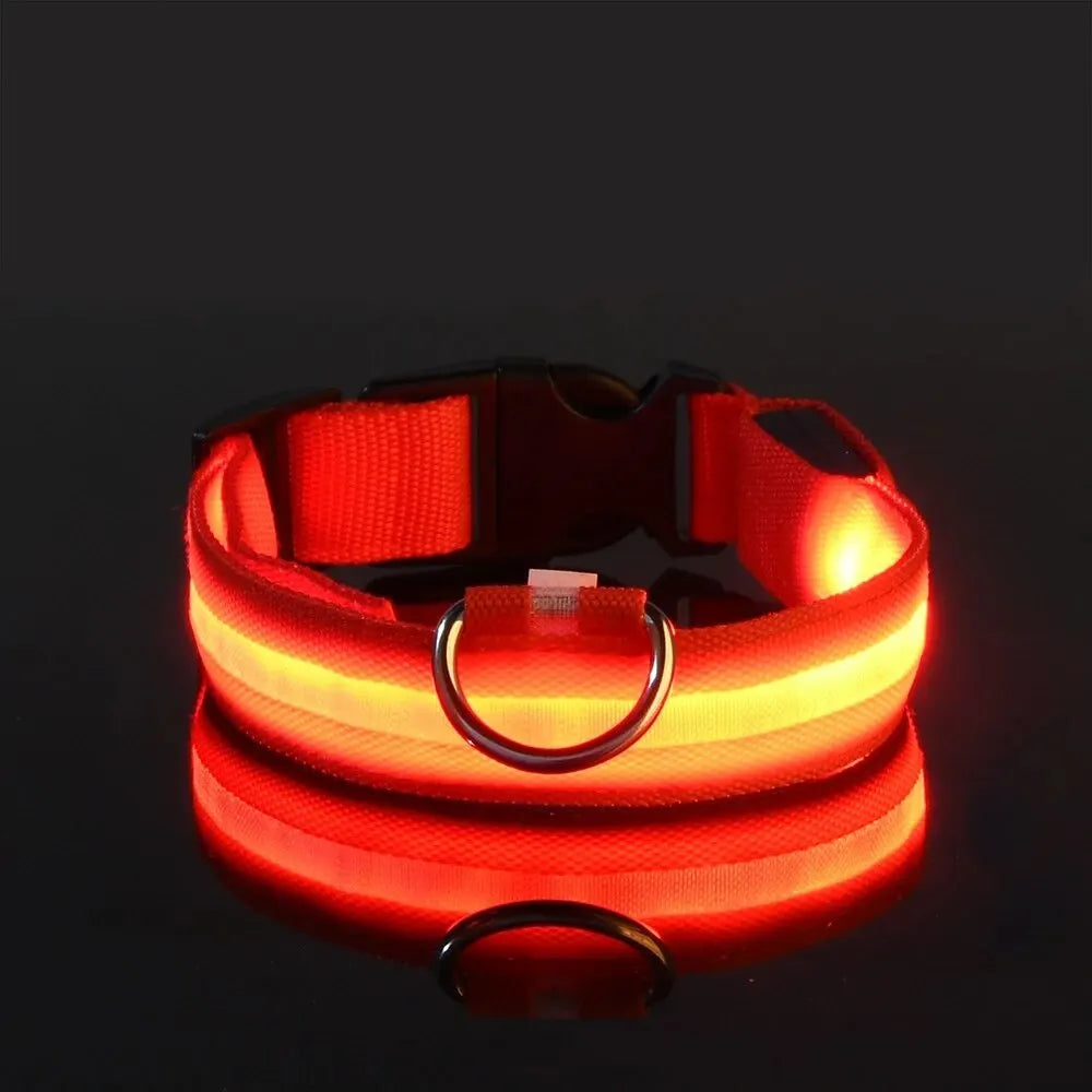 Nylon LED Night Safety Flashing Glow in the Dark Dog Leash - Luminous Fluorescent Pet Dog Collar