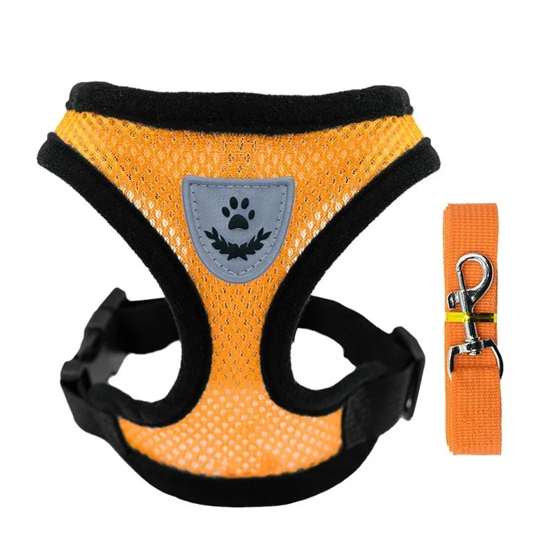 Harnais anti-évasion pour chat et chien avec laisse - Gilet en maille réglable pour la promenade