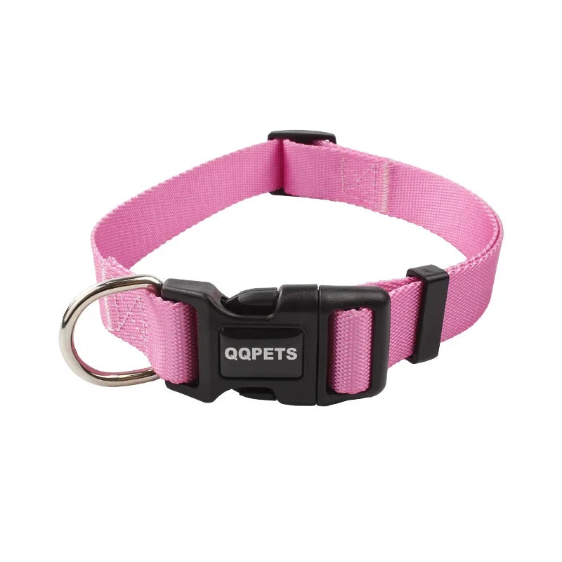 Ensemble laisse et collier réglables en nylon pour chiens - Pour petits et grands chiens
