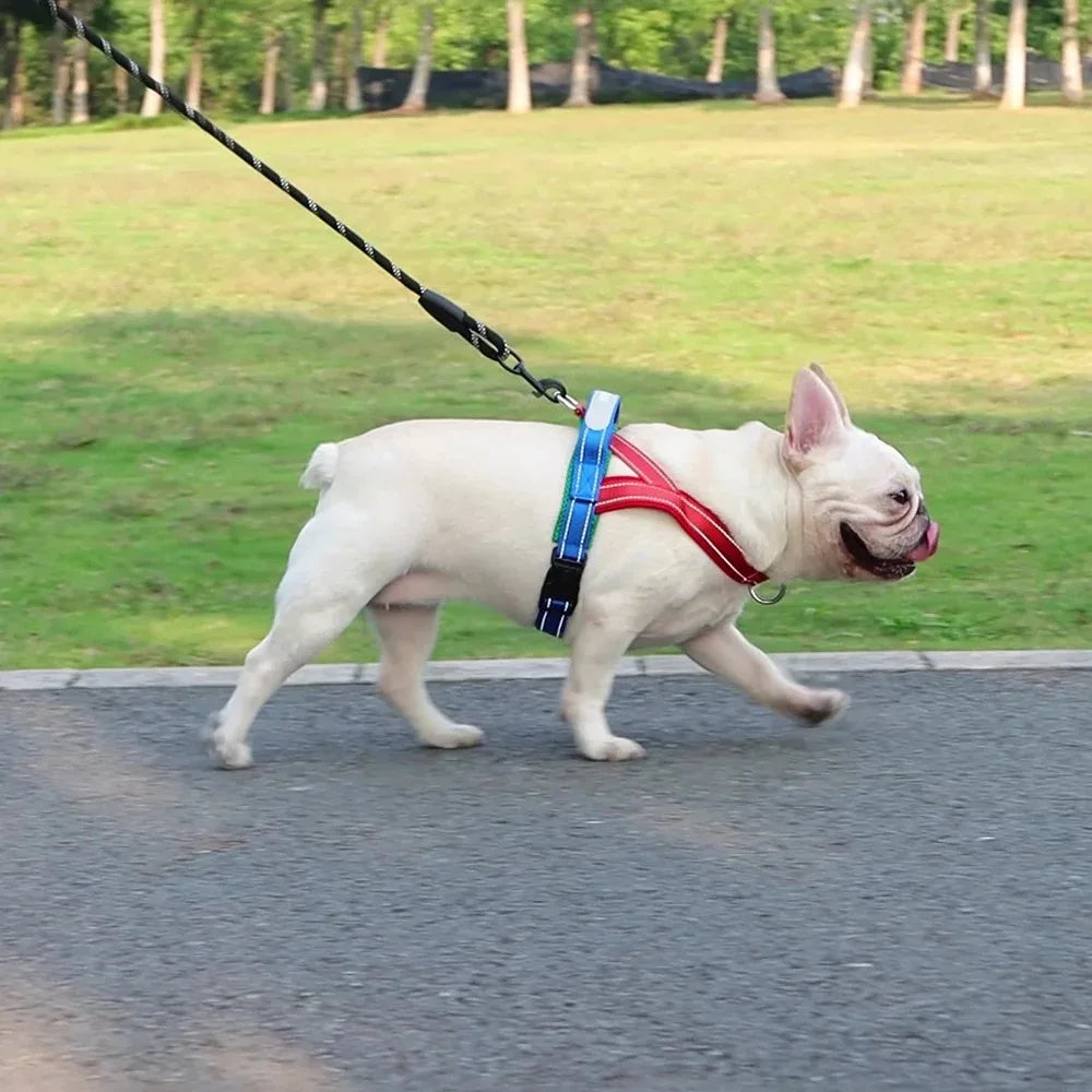 Dog Harness with Chest Strap for Puppies