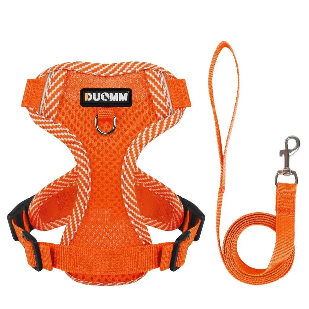 Small Pet Tactical Vest - Chest Strap Harness for Dogs and Cats