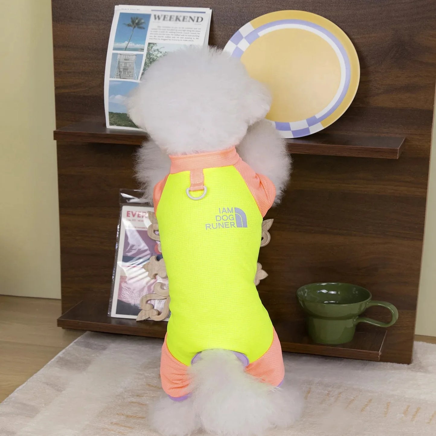 Summer Pet Shirt - Lightweight Dog Clothing for Spring & Summer