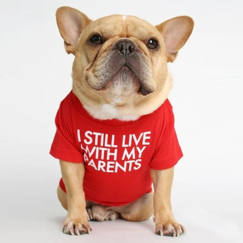 Spring Summer Pet Dog Clothes Round Neck T-shirt for Small Dogs French Bulldog Shiba Inu Puppy Pullovers Letter Print Vest