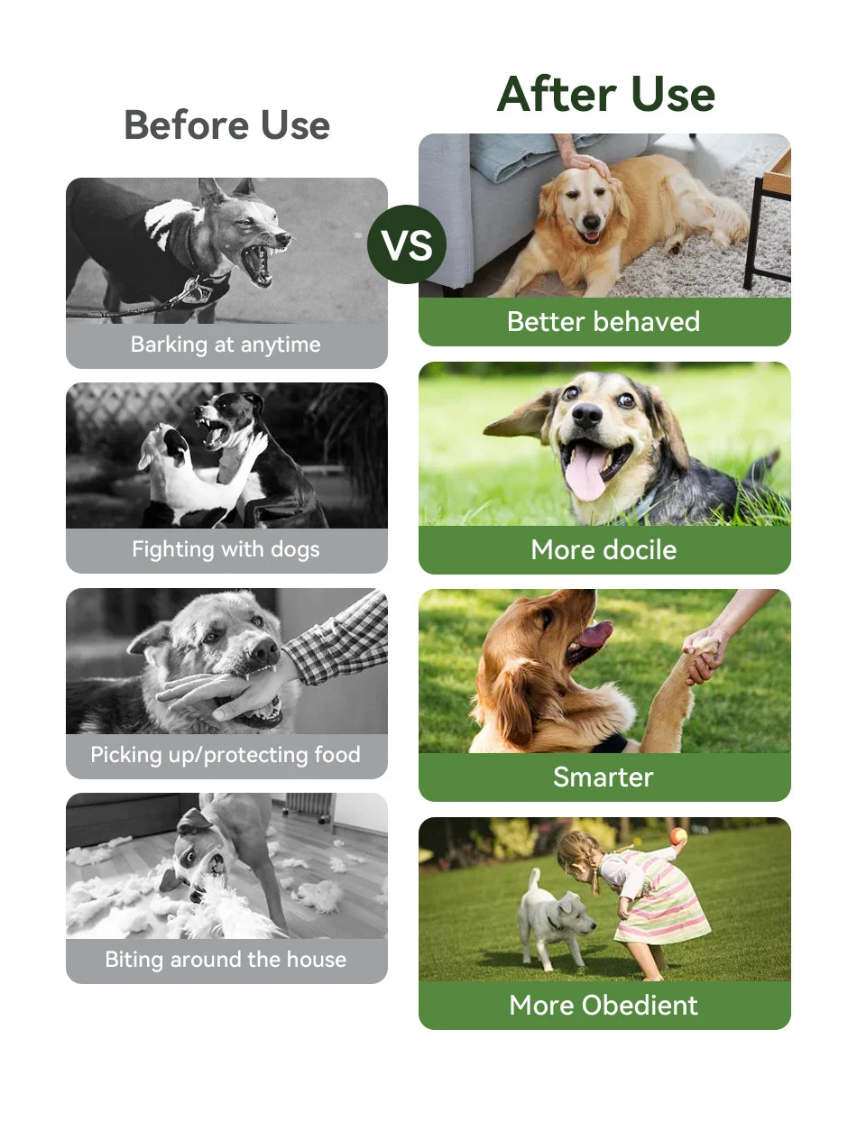 Remote Dog Training Collar - Rechargeable Bark Control System with Multiple Training Modes