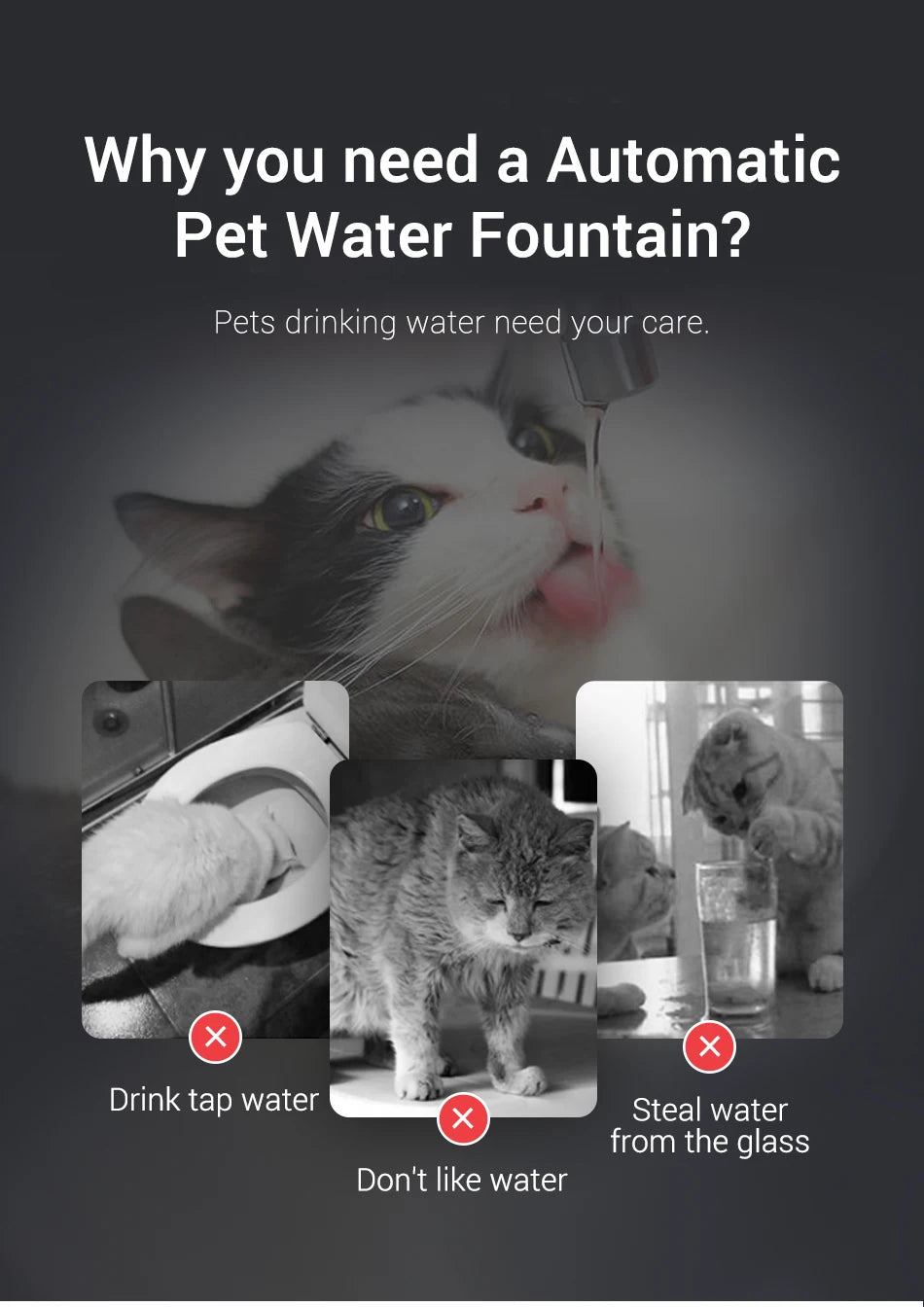 Transparent Smart Cat Water Fountain with Automatic Purifier System