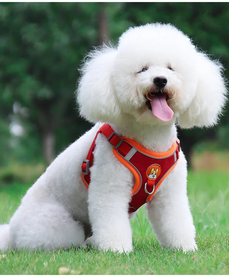 No-Pull Harness and Leash Set - Reflective Vest for Small Dogs