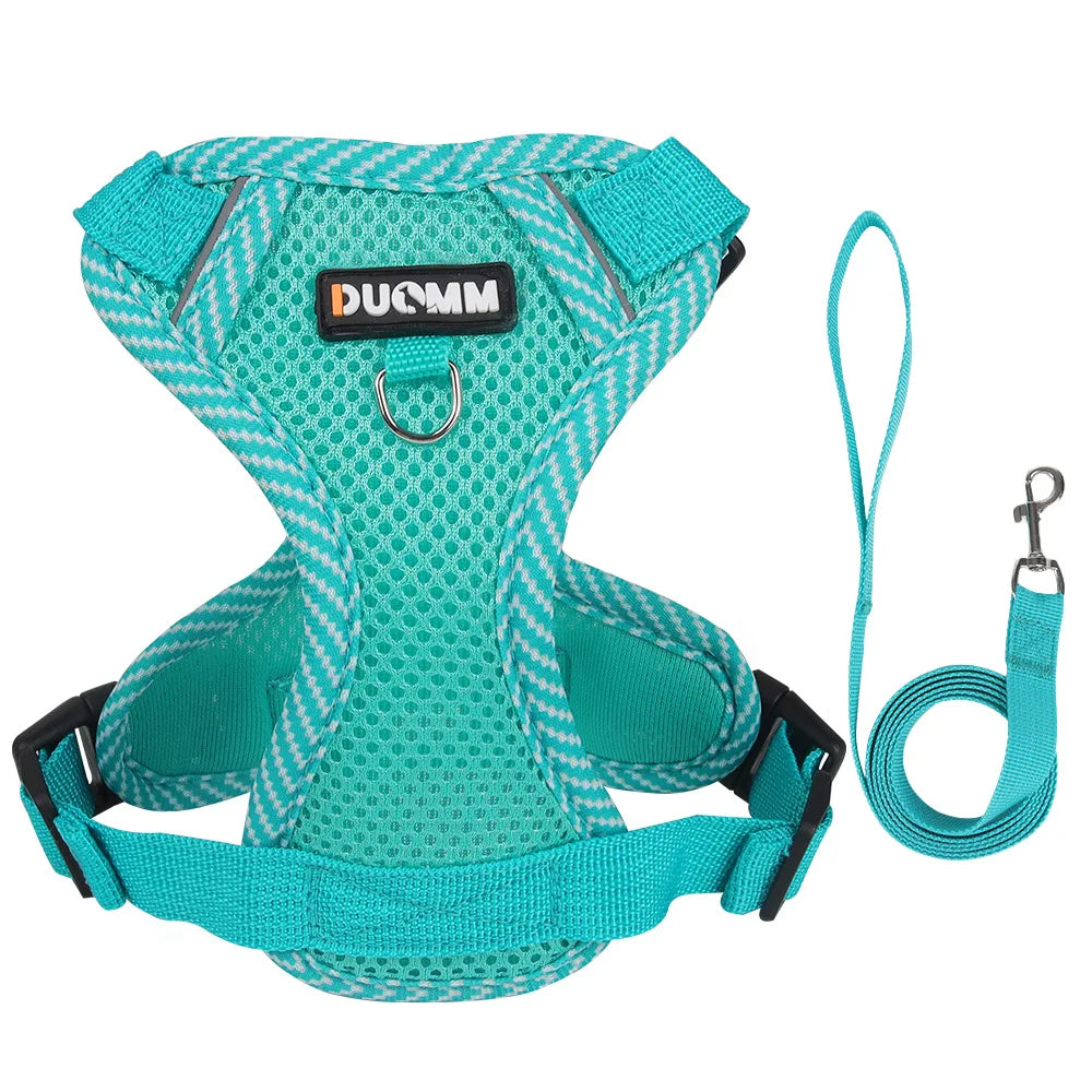 Reflective Mesh Cat & Dog Harness with Leash Set