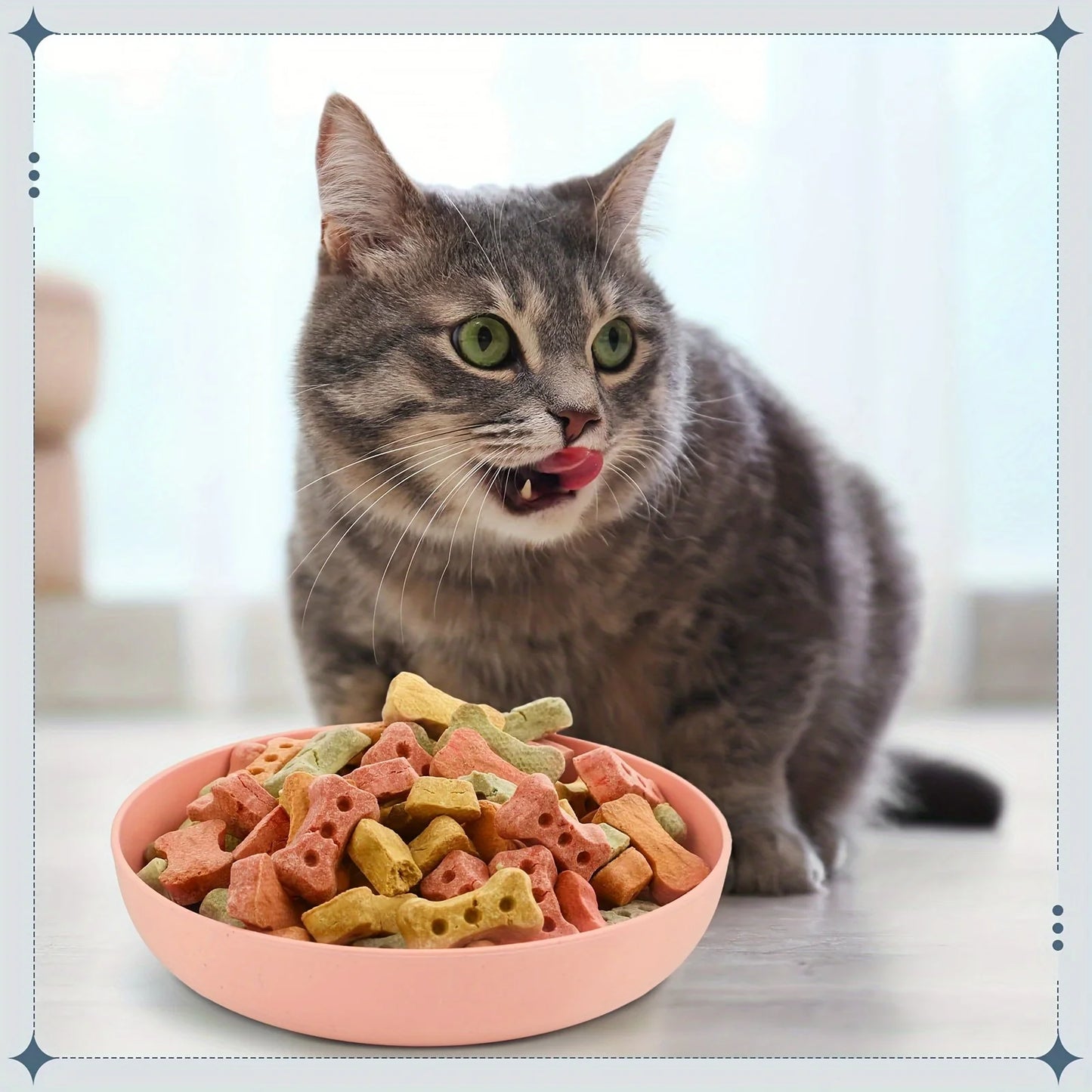 Cat Bowls Set of 4 - Wide Shallow Non-Slip Feeding Dishes for Small Cats