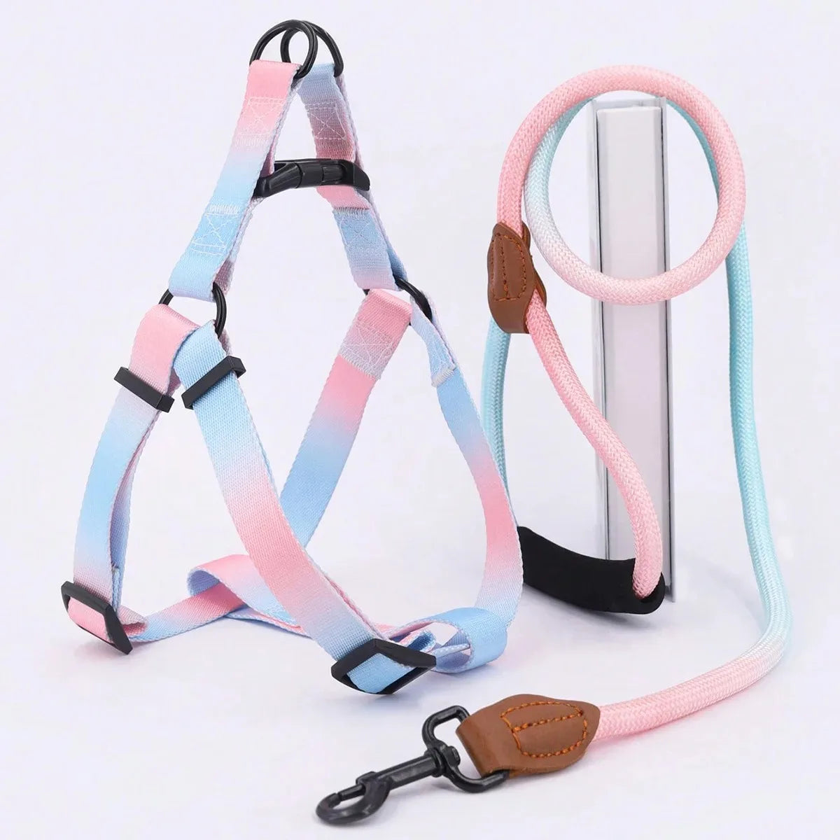Small Dog Chest Harness with Leash Set - Puppy Training Kit