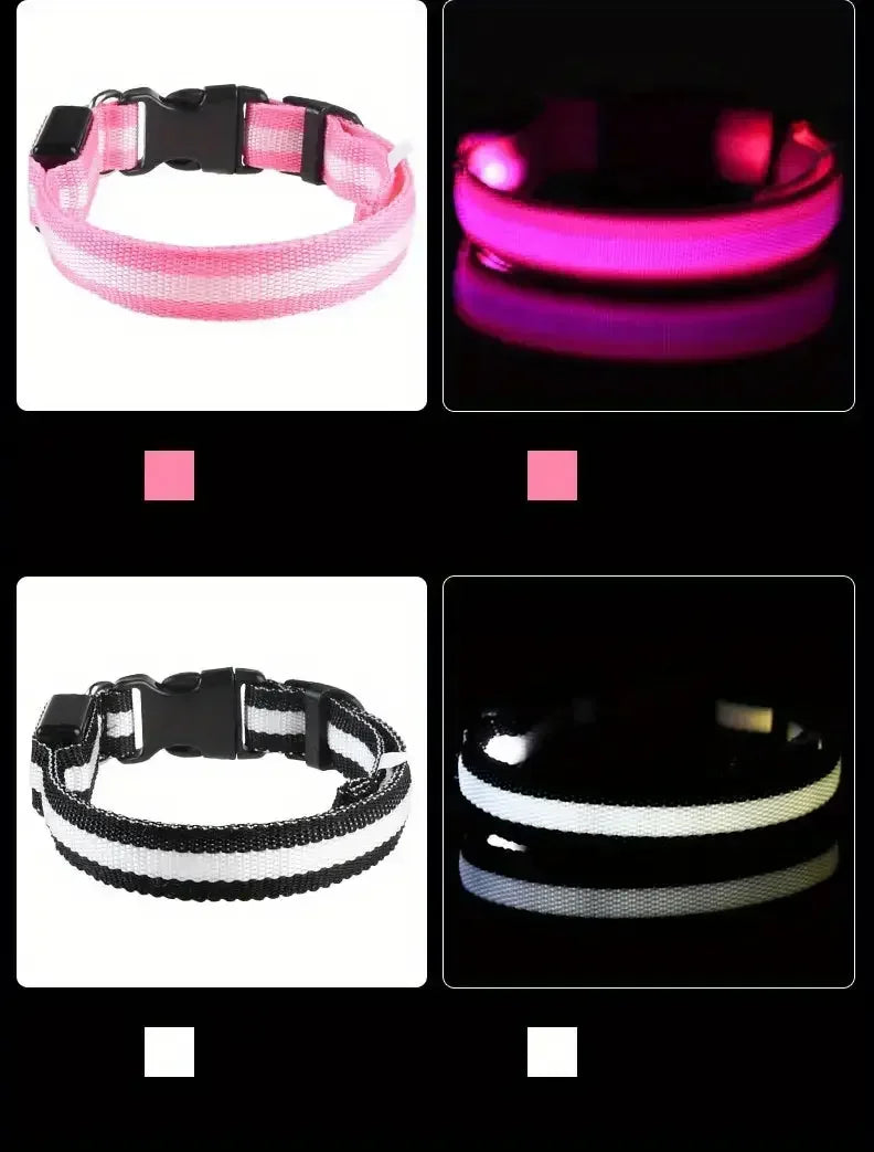 LED Dog Collar - Rechargeable Safety Light for Night Walking