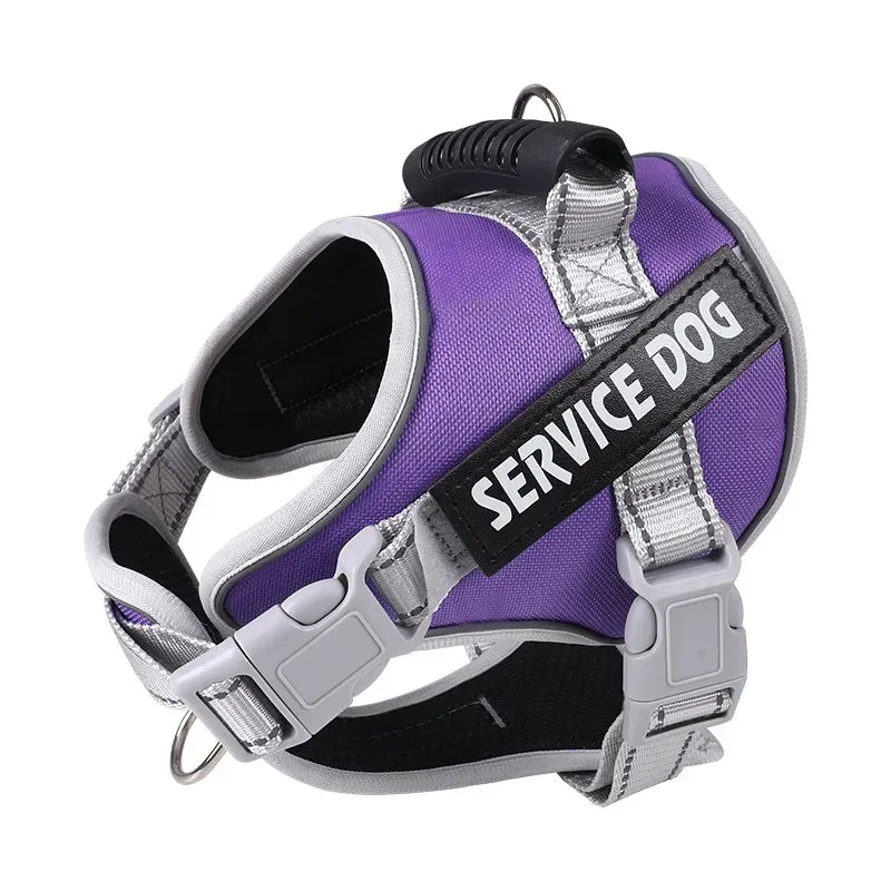Puppy Harness with Leash - Small to Large Dog Training Set