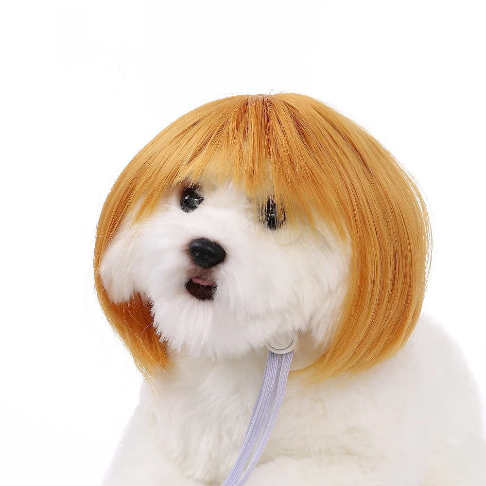 Pet Halloween Wig - Curly & Straight Hair Costume Accessory for Dogs & Cats
