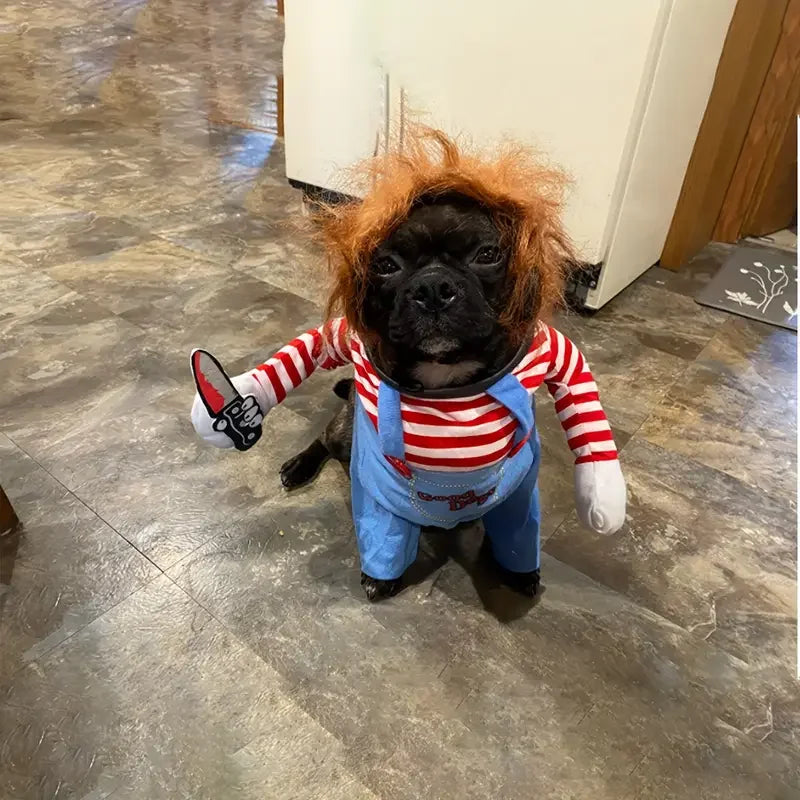 Costume de Chien Poupée Ensanglantée Halloween avec Perruque