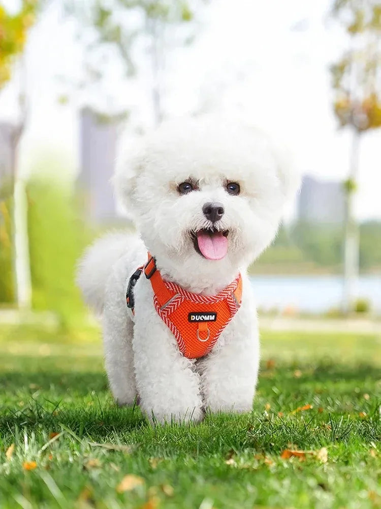 Small Pet Tactical Vest - Chest Strap Harness for Dogs and Cats