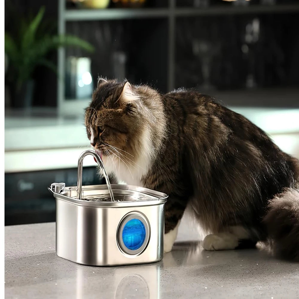 Automatic Pet Water Fountain 2.2L - Stainless Steel with Viewing Window
