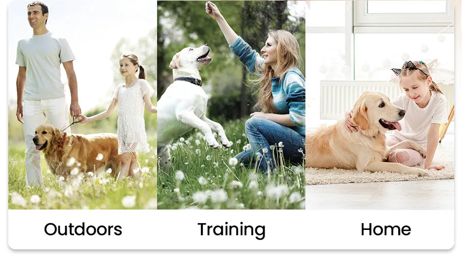 Ultrasonic Dog Training Device with Anti-Barking Technology and LED Flashlight