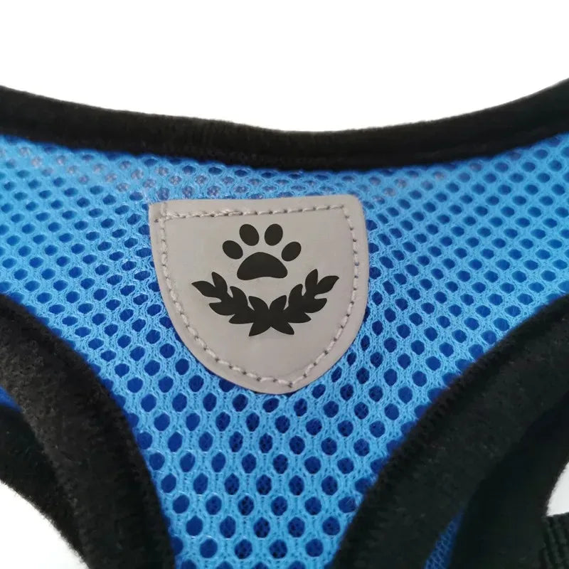 Tactical Dog Vest & Collar Set - Chest Strap Harness for Small Breeds