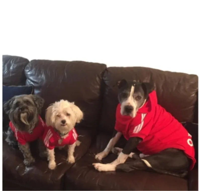 Warm Dog Hoodie - Autumn Winter Pet Coat for Medium to Large Dogs