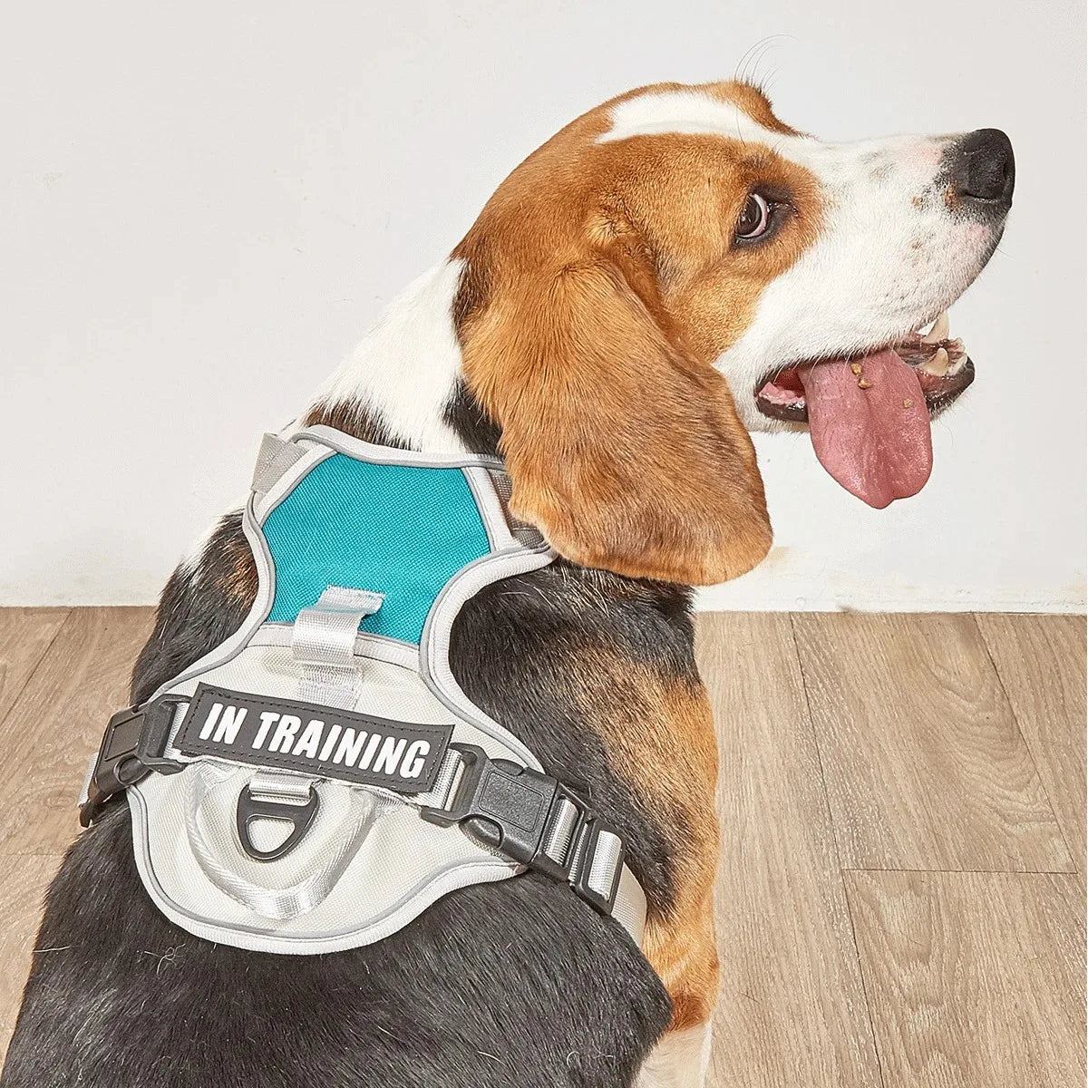 Premium Dog Harness - Comfortable, Stylish, and Durable
