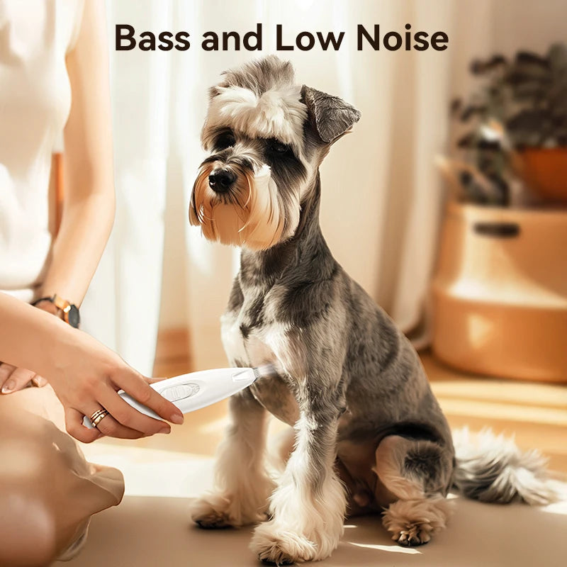 Professional Electric Pet Clipper with LED Light and Rechargeable Battery