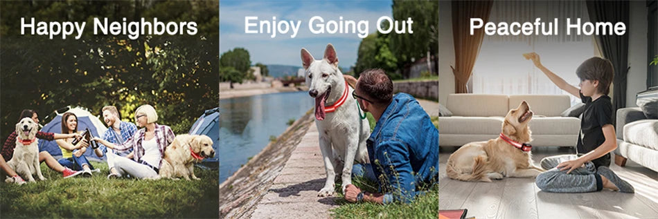 Remote Dog Training Collar - 1000m Range Rechargeable Bark Control System
