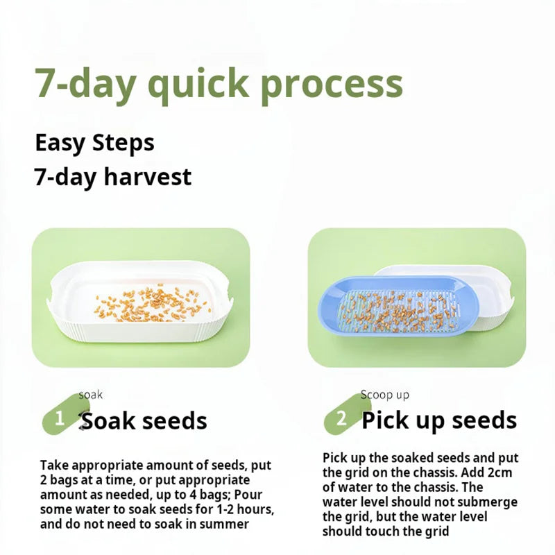 Hydroponic Cat Grass Growing Kit - Soilless Planting Set for Fresh Cat Treats