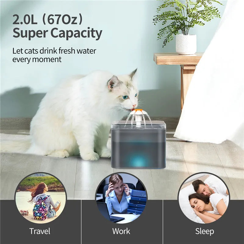 2L LED Pet Water Fountain with USB Power - Automatic Filtration System for Cats & Dogs