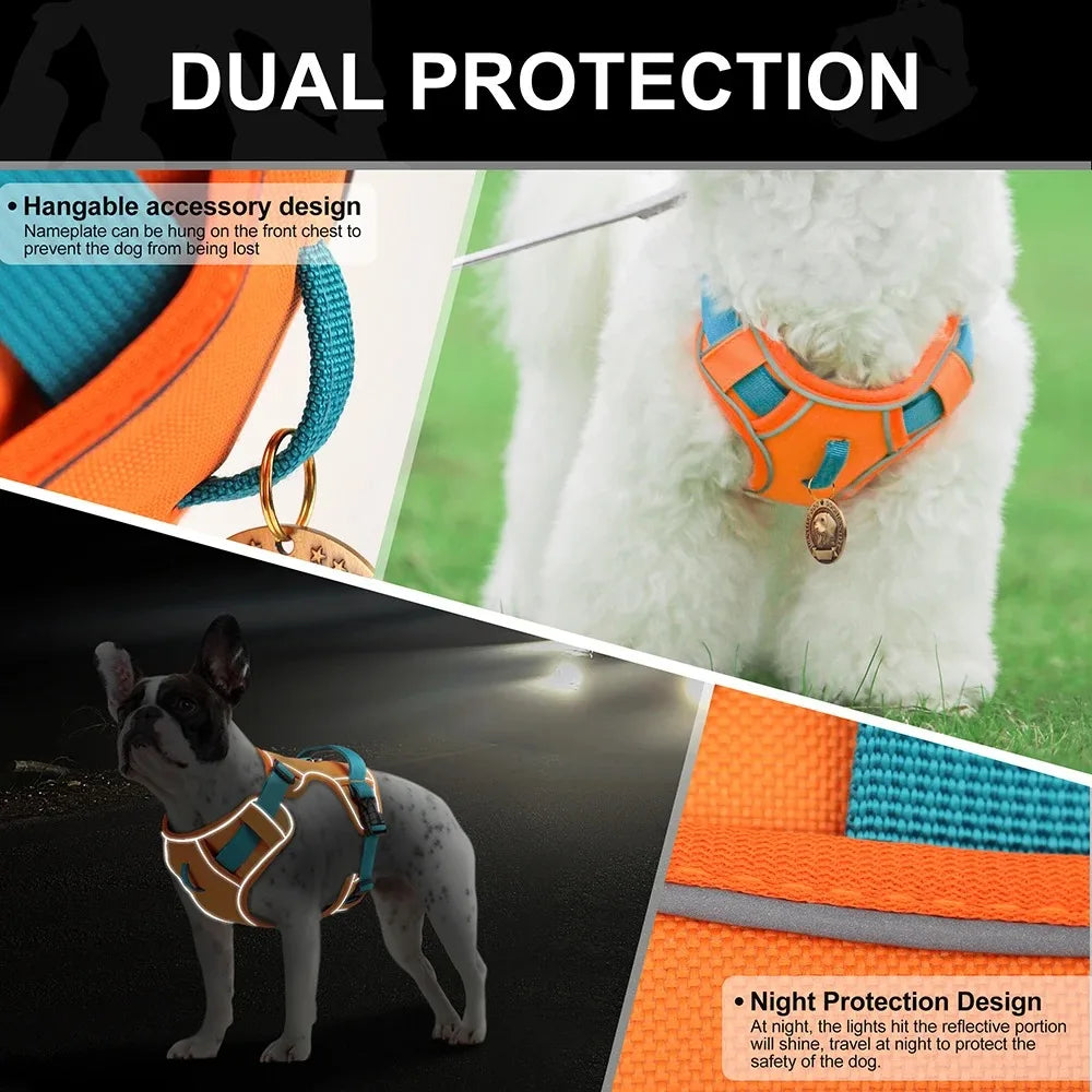 Dog Chest Strap Harness & Leash Set - Adjustable for Small to Large Breeds