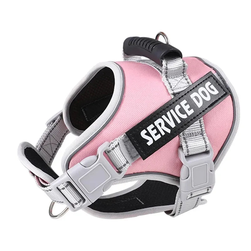 Puppy Harness with Leash - Small to Large Dog Training Set