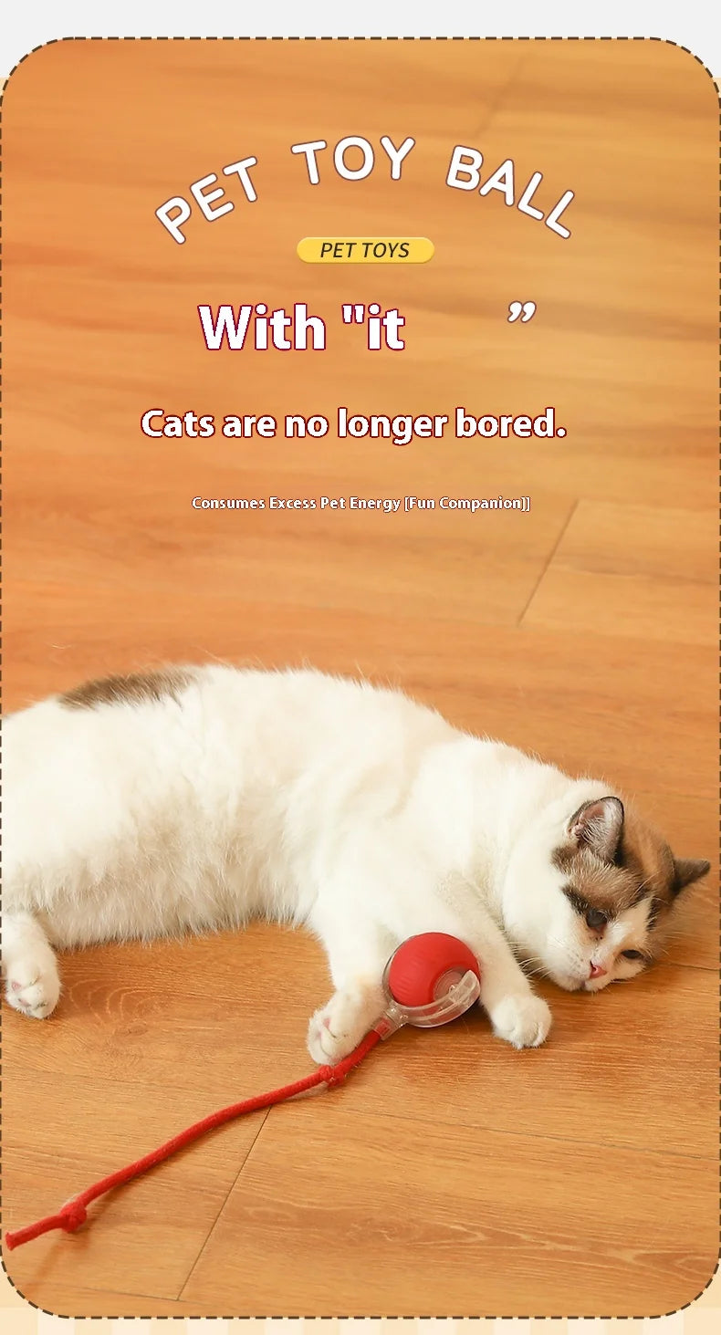 Electric Cat Ball Toy with Automatic Rolling and Teaser Bird - Interactive Pet Toy