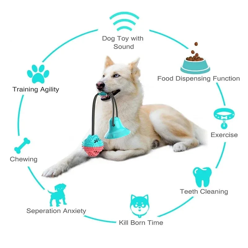 Ultra-Tough Chew Toys for Large Dogs - Beef Flavored Dental Cleaning Bones