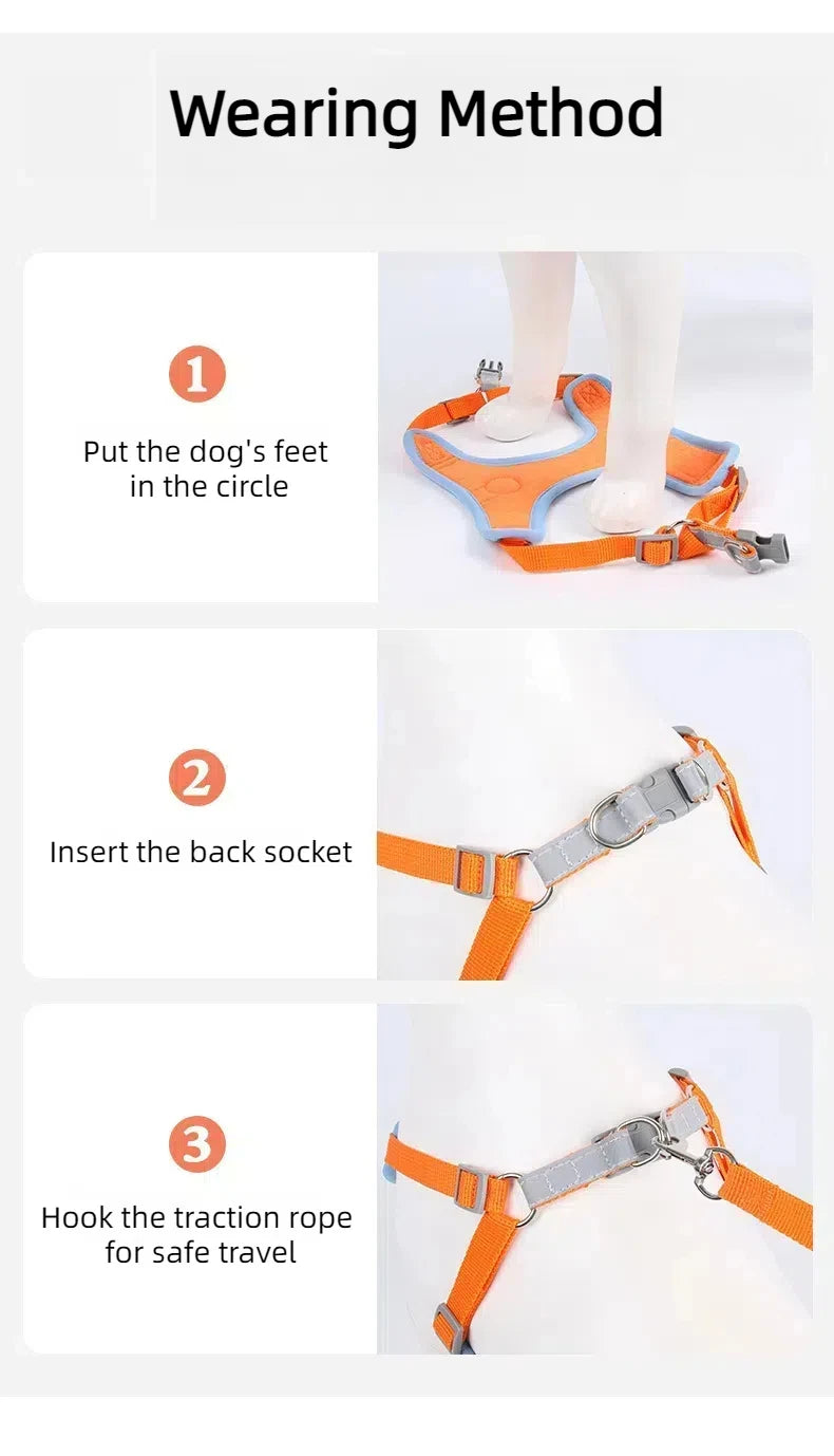 No-Pull Harness and Leash Set - Reflective Vest for Small Dogs