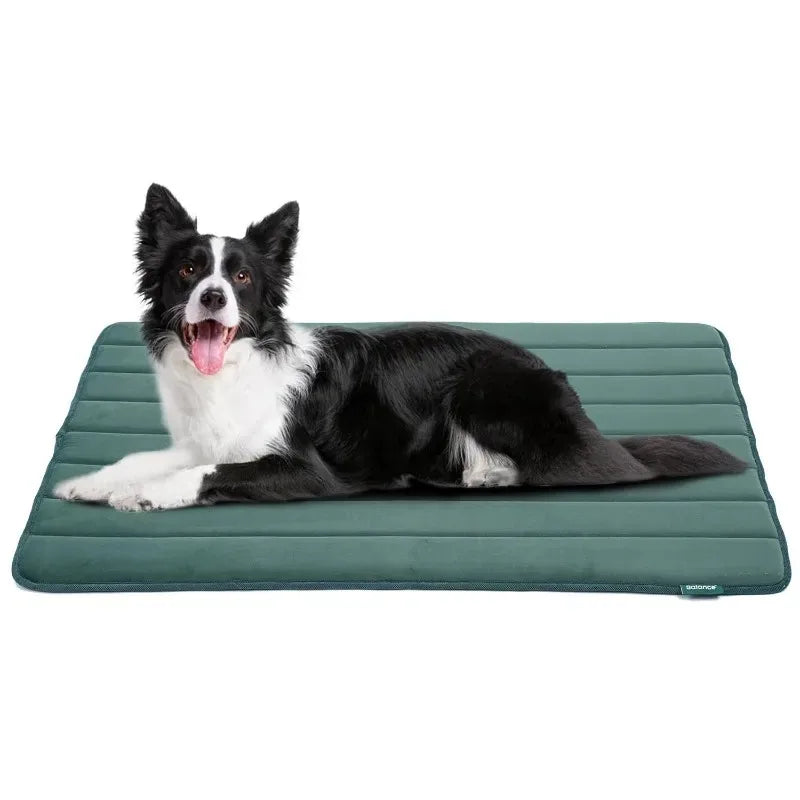 Summer Cooling Pet Bed & Sofa - Breathable Cushion for Dogs & Cats